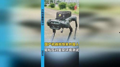 国产机器狗视频,智能宠物的未来风采