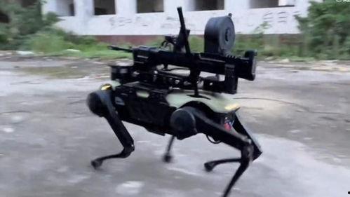 国产机器狗视频,智能宠物的未来风采