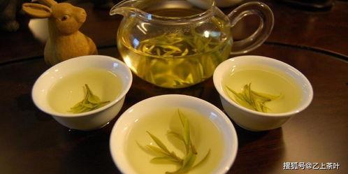 中国产茶地视频英语,Exploring the Rich Tea Cultivation Regions of China: A Visual Journey