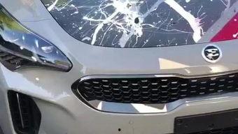 各种国产车介绍视频,多款热门车型视频解析集锦