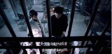 国产精彩视频在线,视听盛宴，领略中国光影魅力